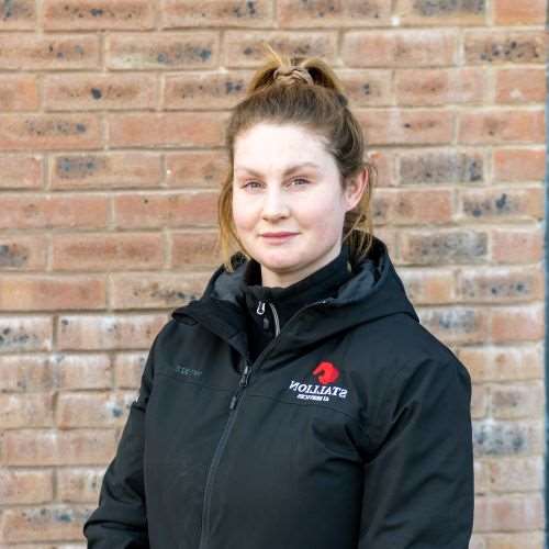 Rachel Griffiths - Stud Groom